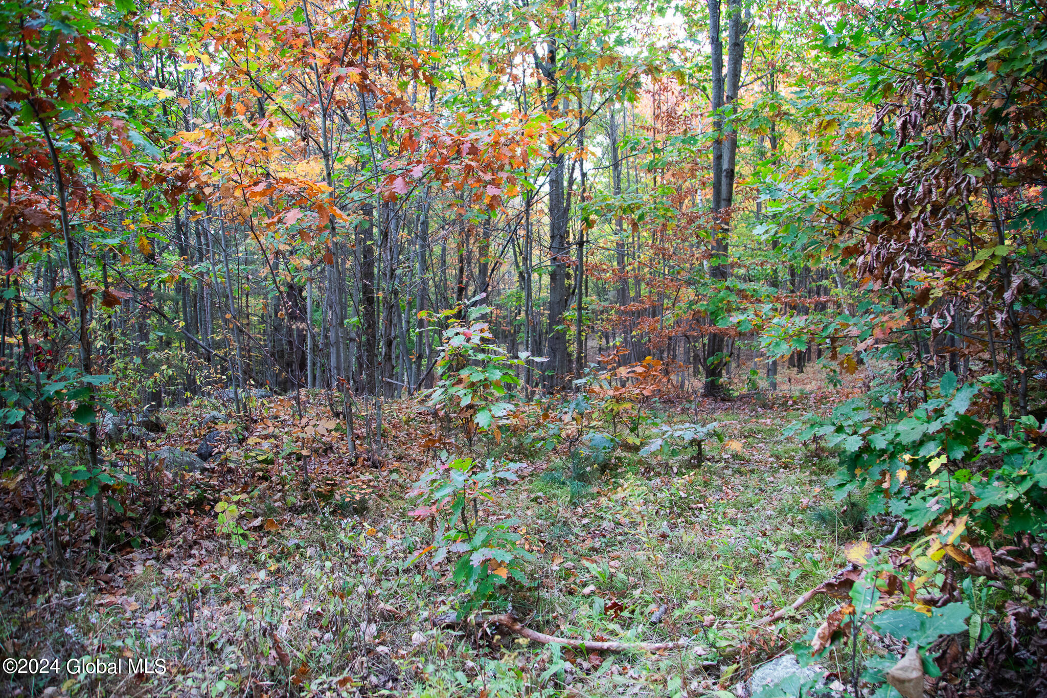 L7 Harroway Road Cobleskill, NY 12043 - Photo 32 of 44 176A6915