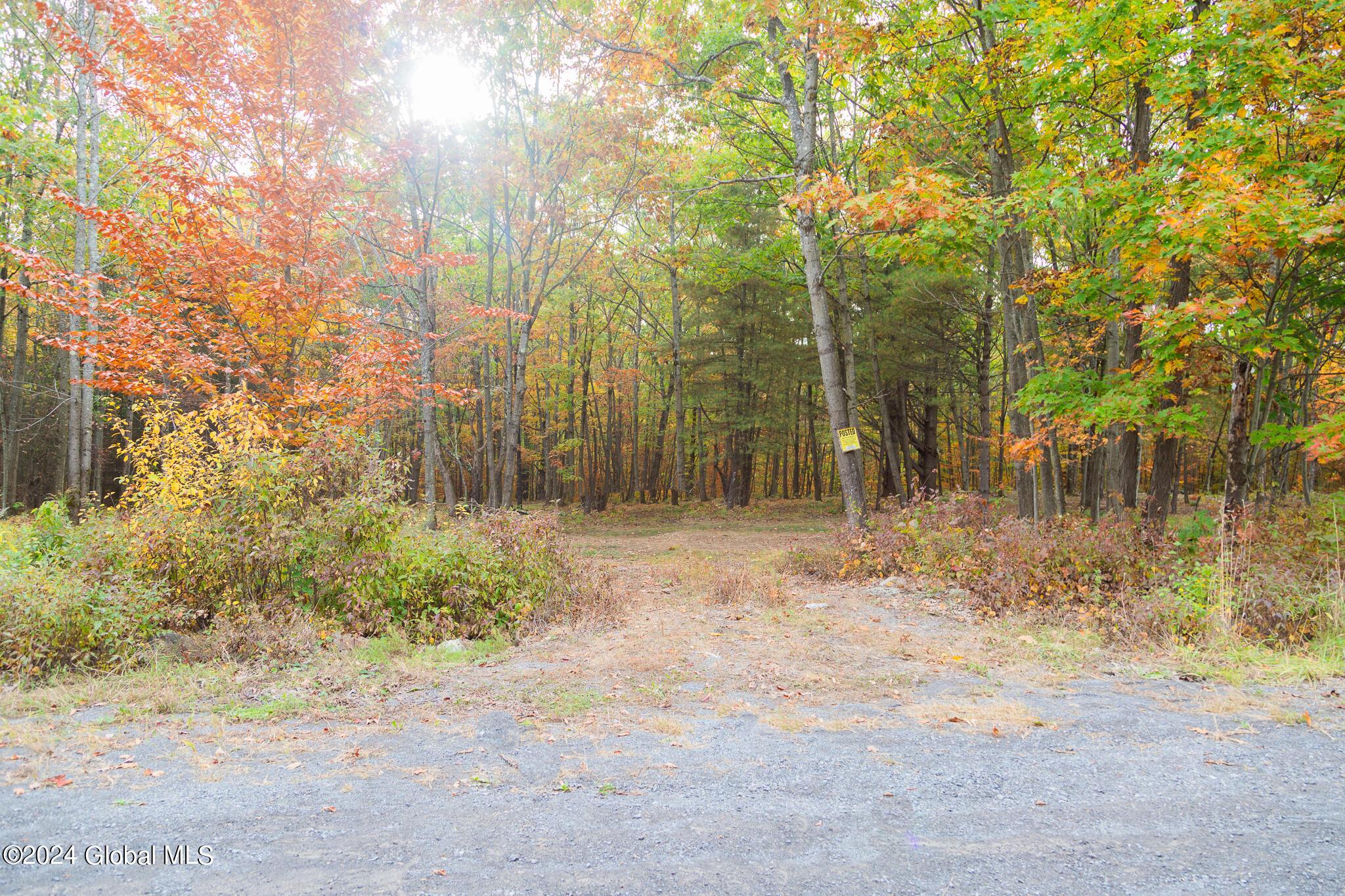 L7 Harroway Road Cobleskill, NY 12043 - Photo 33 of 44 176A6792