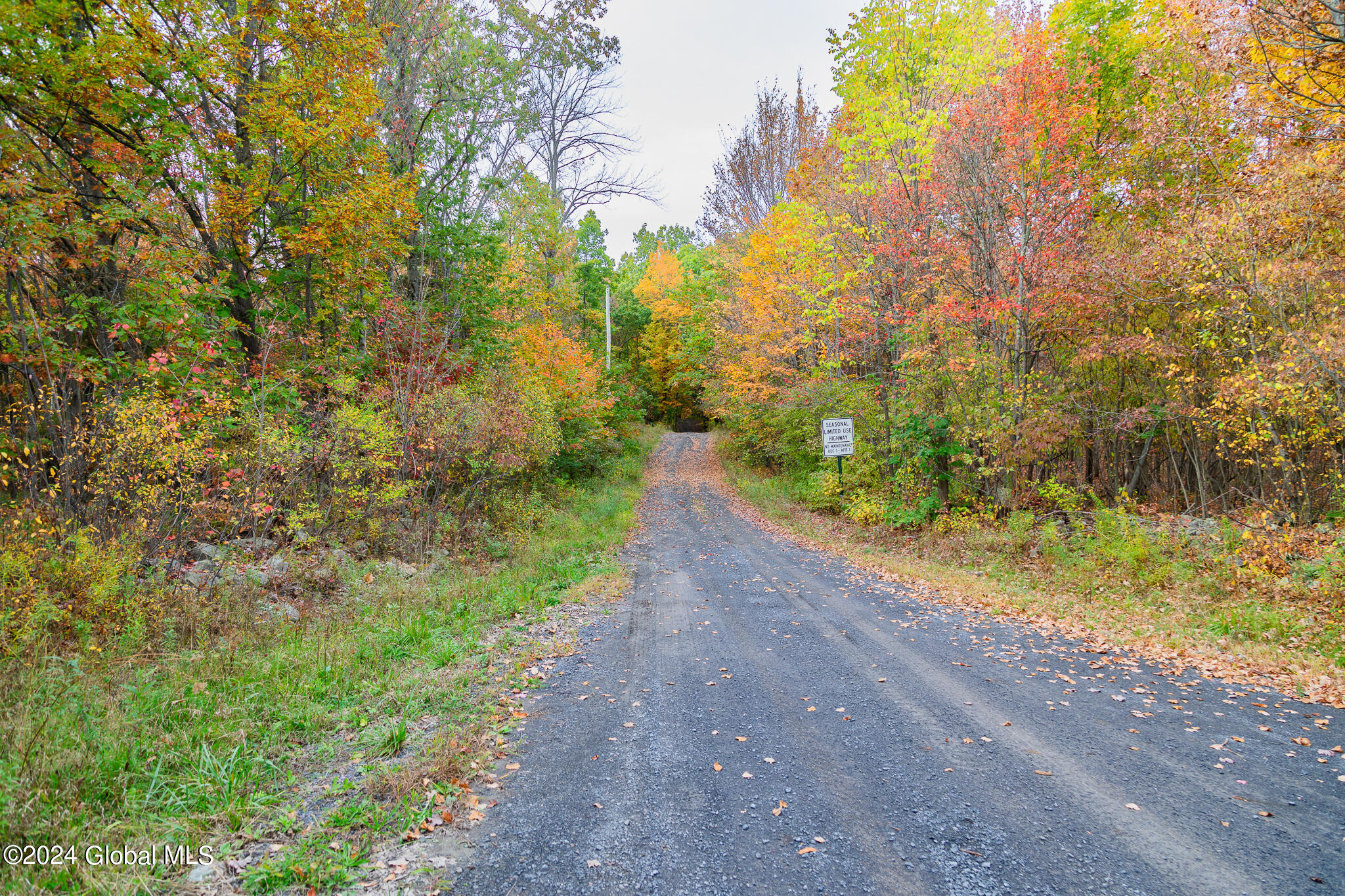 L7 Harroway Road Cobleskill, NY 12043 - Photo 35 of 44 176A6789