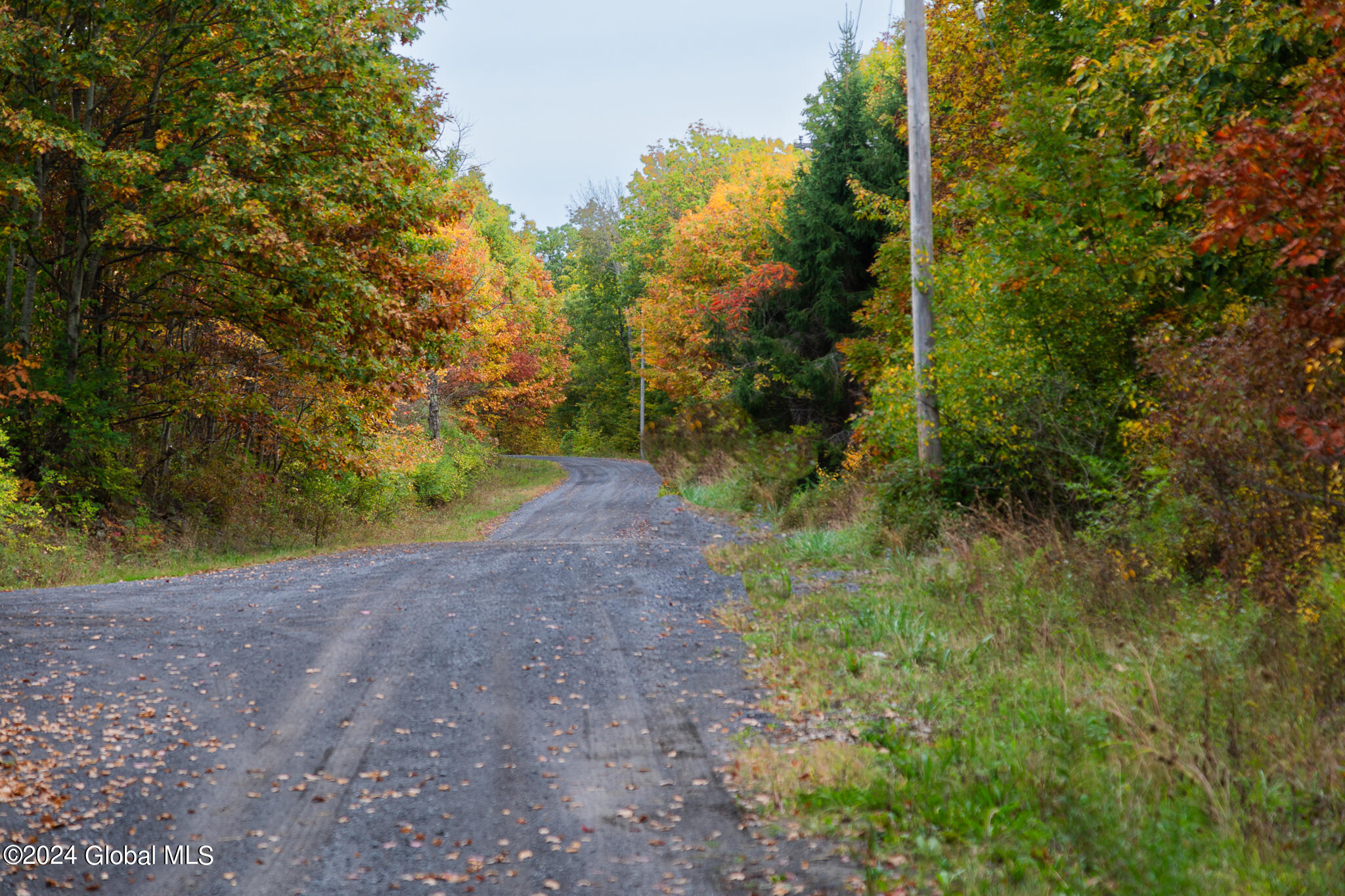 L7 Harroway Road Cobleskill, NY 12043 - Photo 37 of 44 176A6909
