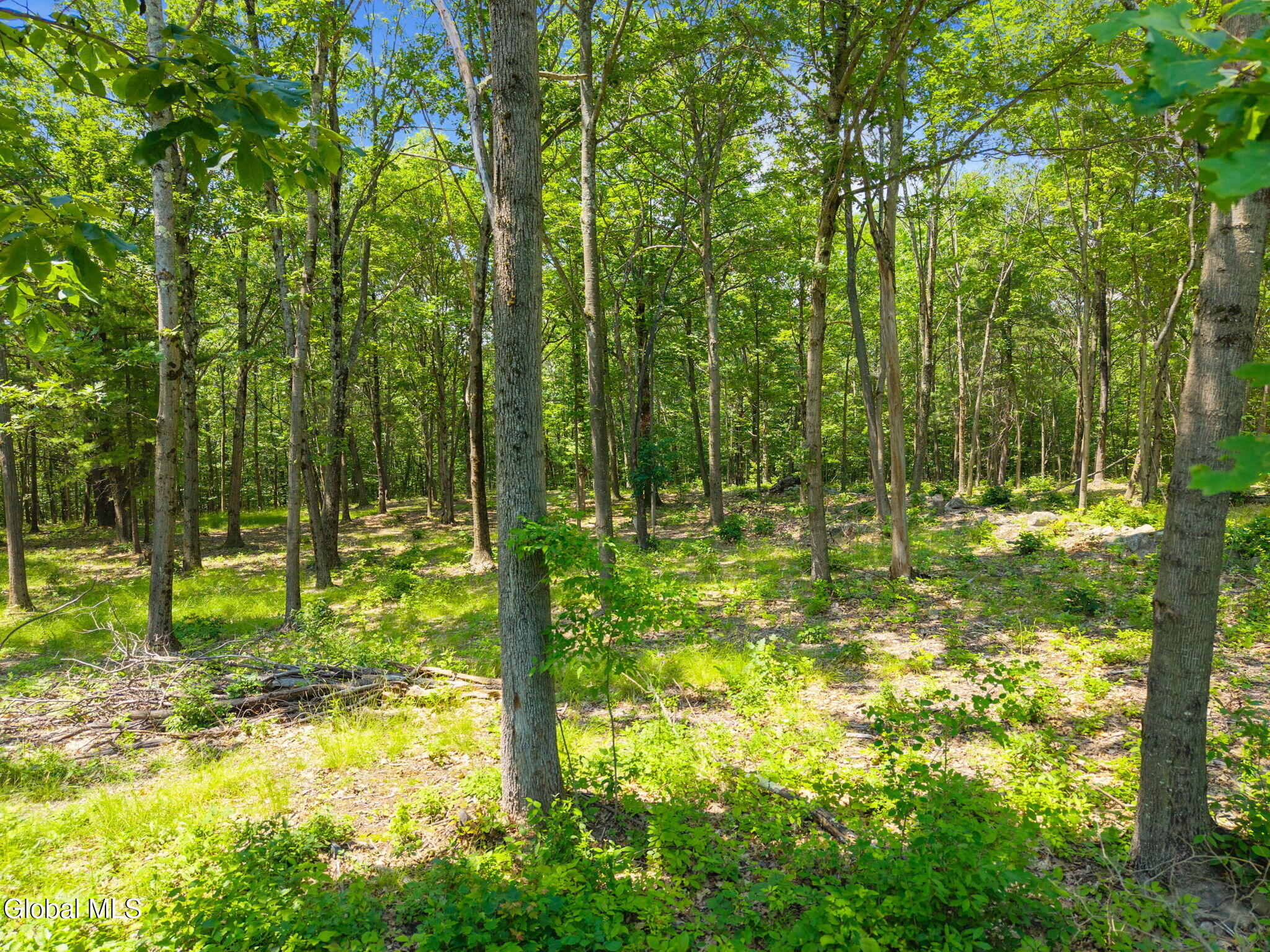 L7 Harroway Road Cobleskill, NY 12043 - Photo 4 of 44 6-HarrowayRd_06