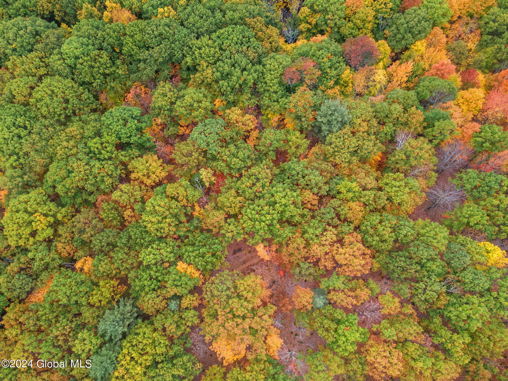 L7 Harroway Road Cobleskill, NY 12043 - Photo 42 of 44 9-L7HarrowayRd_09