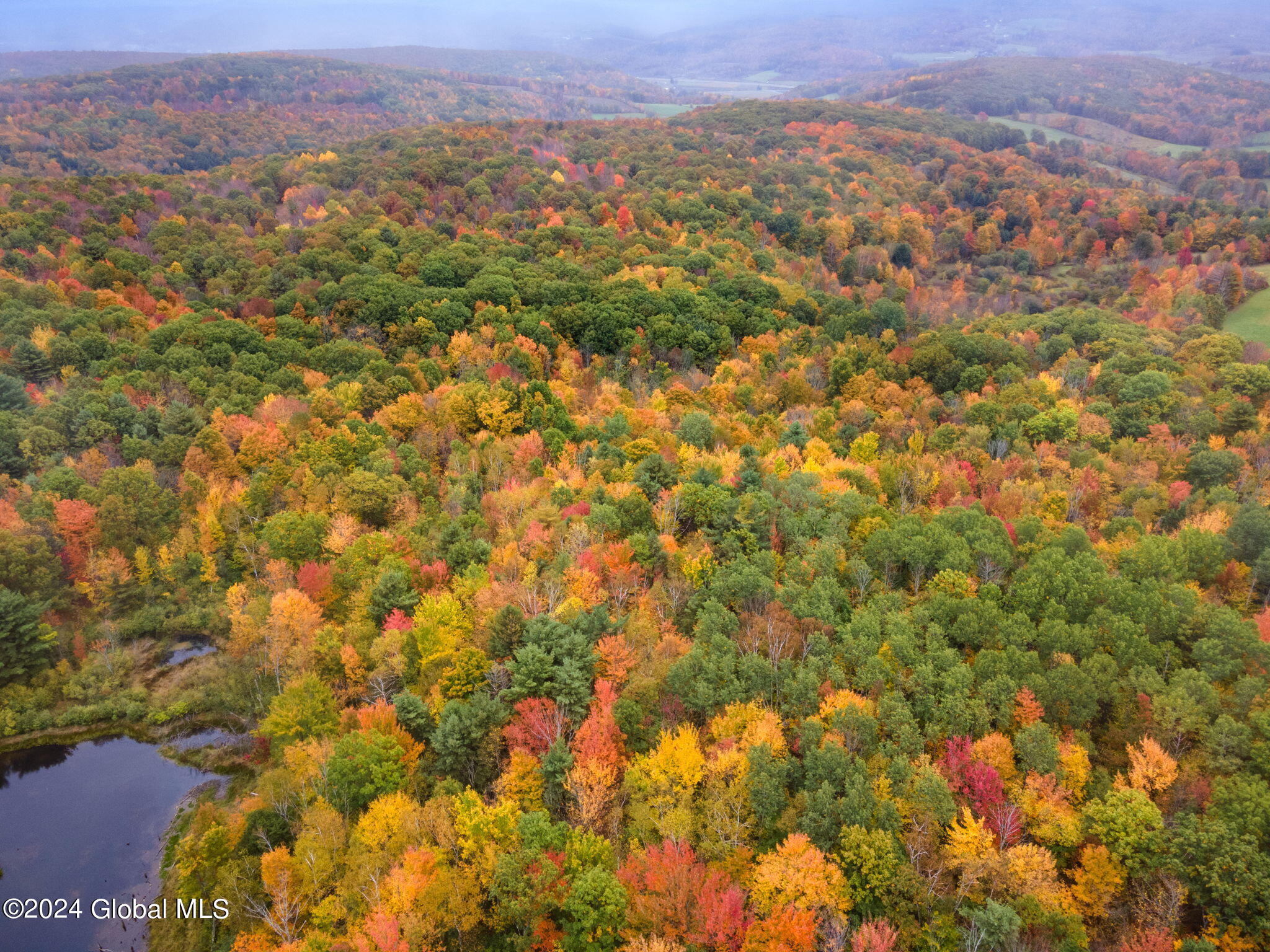 L7 Harroway Road Cobleskill, NY 12043 - Photo 43 of 44 15-L7HarrowayRd_15