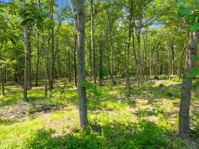 $84,900 | L7 Harroway Road, Cobleskill, NY 12043