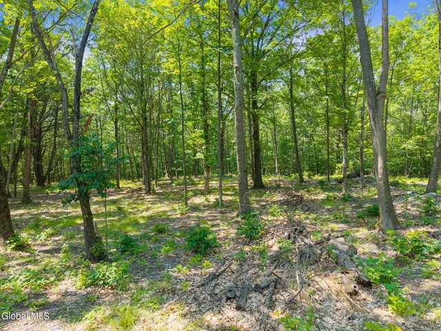 $84,900 | L7 Harroway Road, Cobleskill, NY 12043