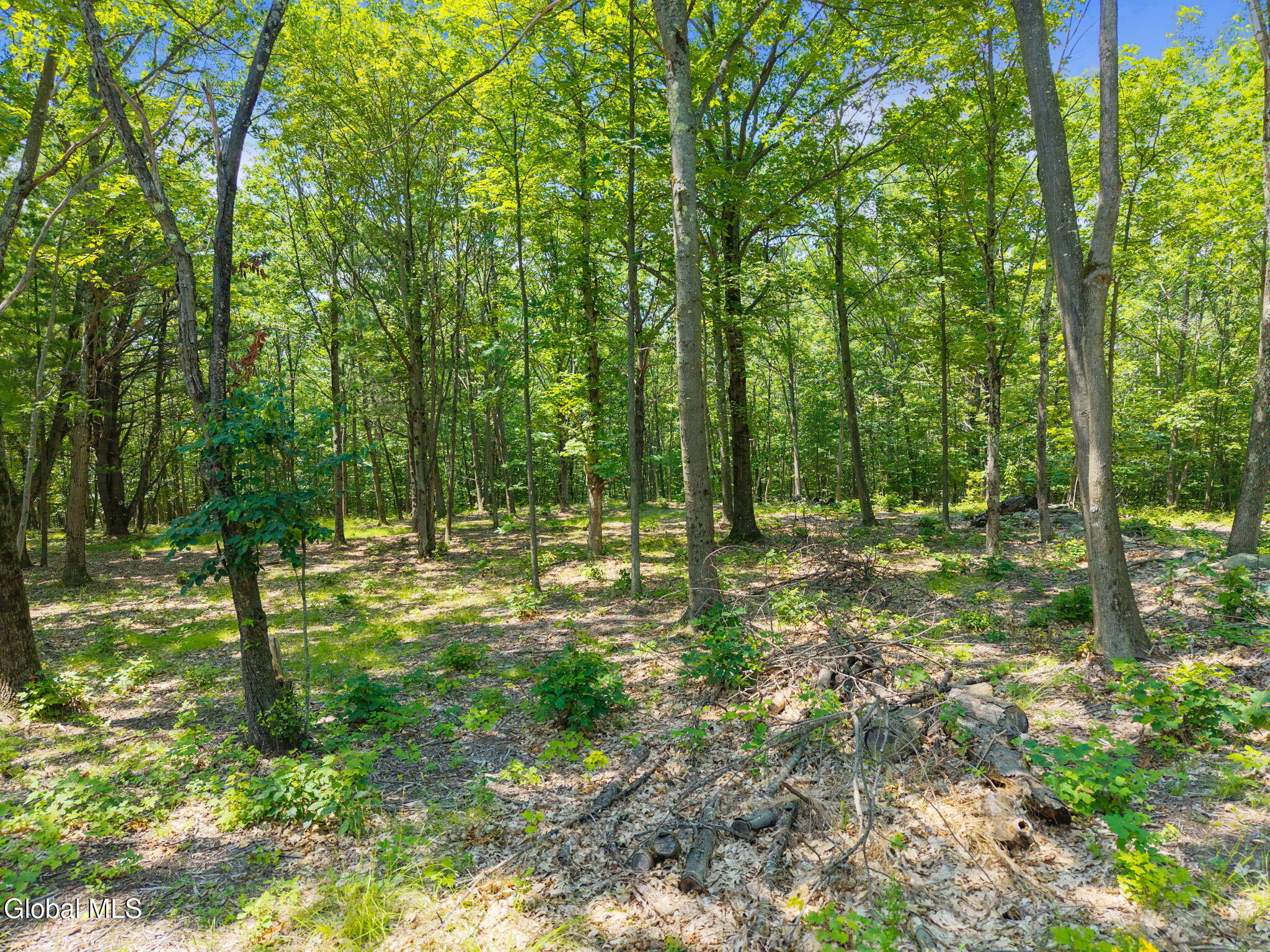 L7 Harroway Road Cobleskill, NY 12043 - Photo 5 of 44 7-HarrowayRd_07