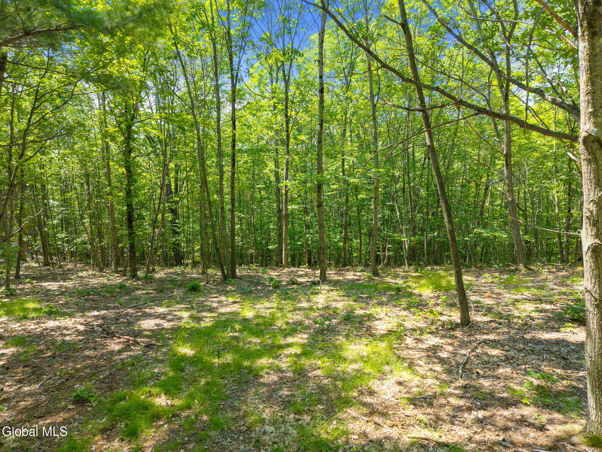 L7 Harroway Road Cobleskill, NY 12043 - Photo 6 of 44 8-HarrowayRd_08