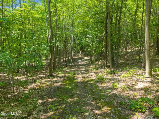 $84,900 | L7 Harroway Road, Cobleskill, NY 12043