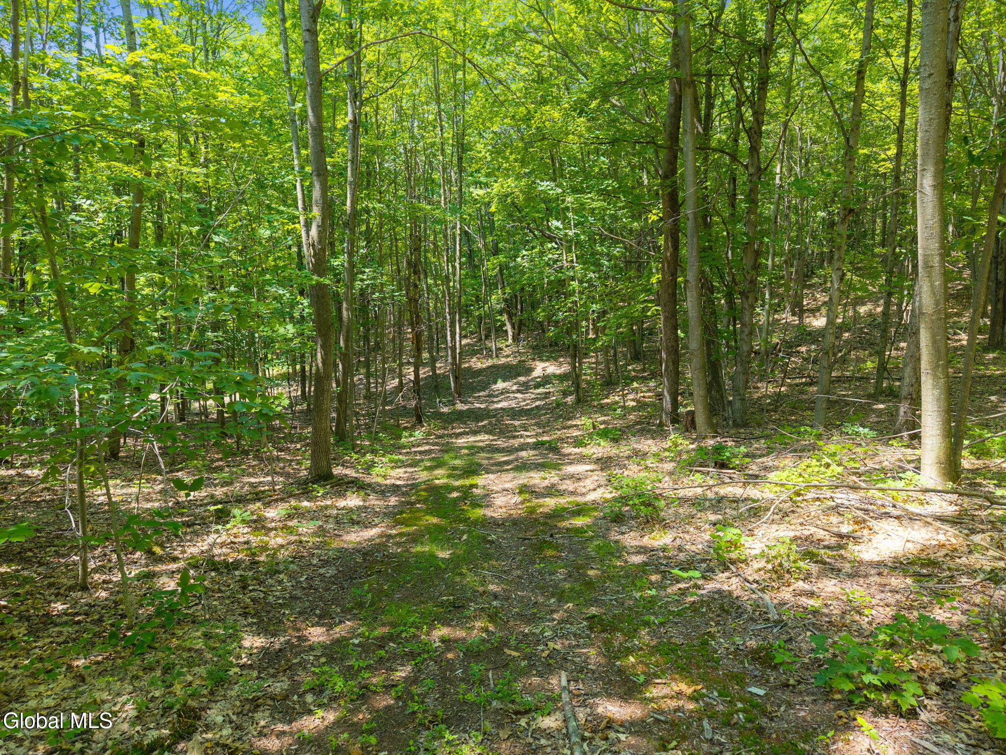 L7 Harroway Road Cobleskill, NY 12043 - Photo 7 of 44 10-HarrowayRd_10