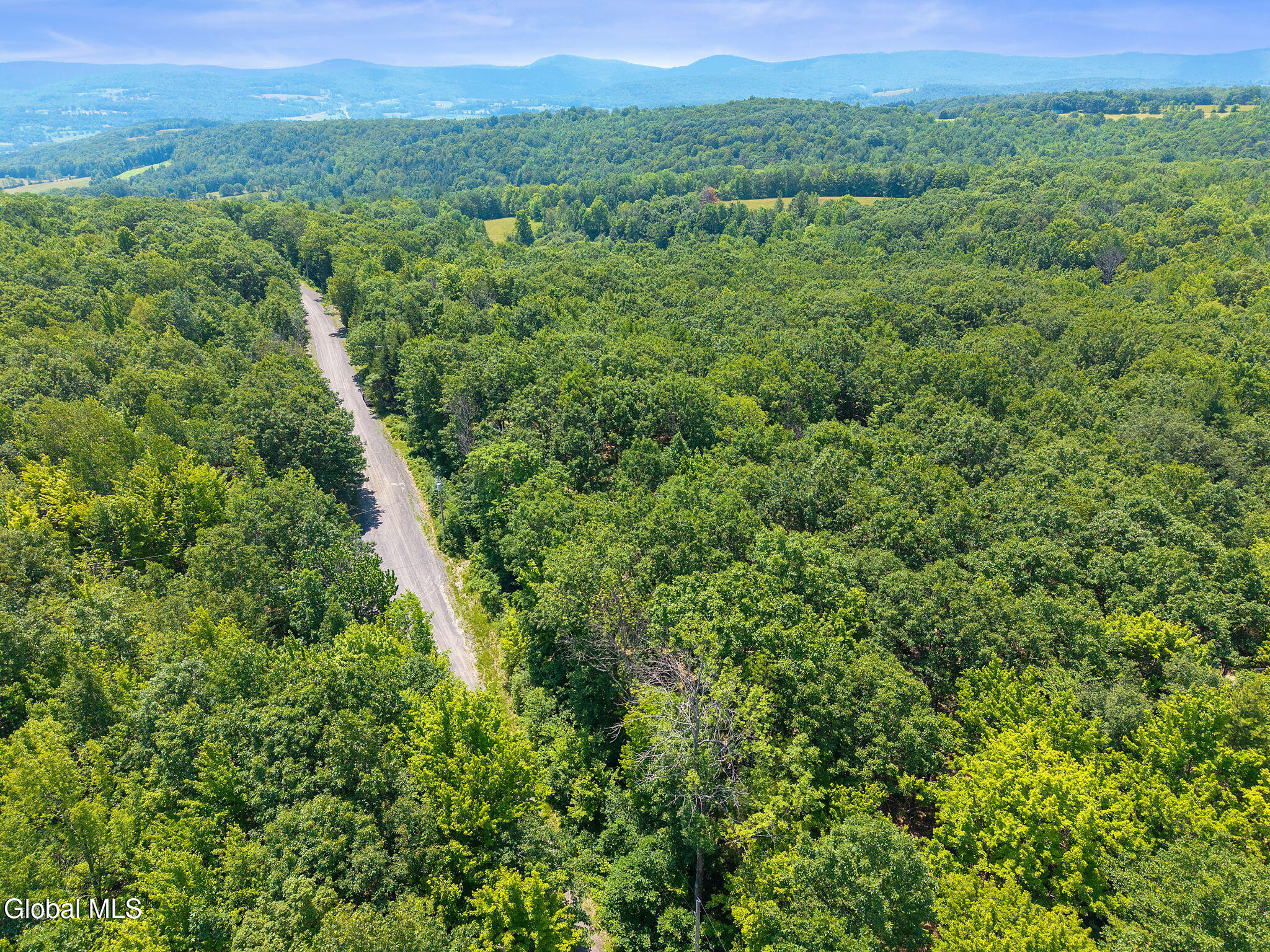 L7 Harroway Road Cobleskill, NY 12043 - Photo 9 of 44 4-HarrowayRd_04