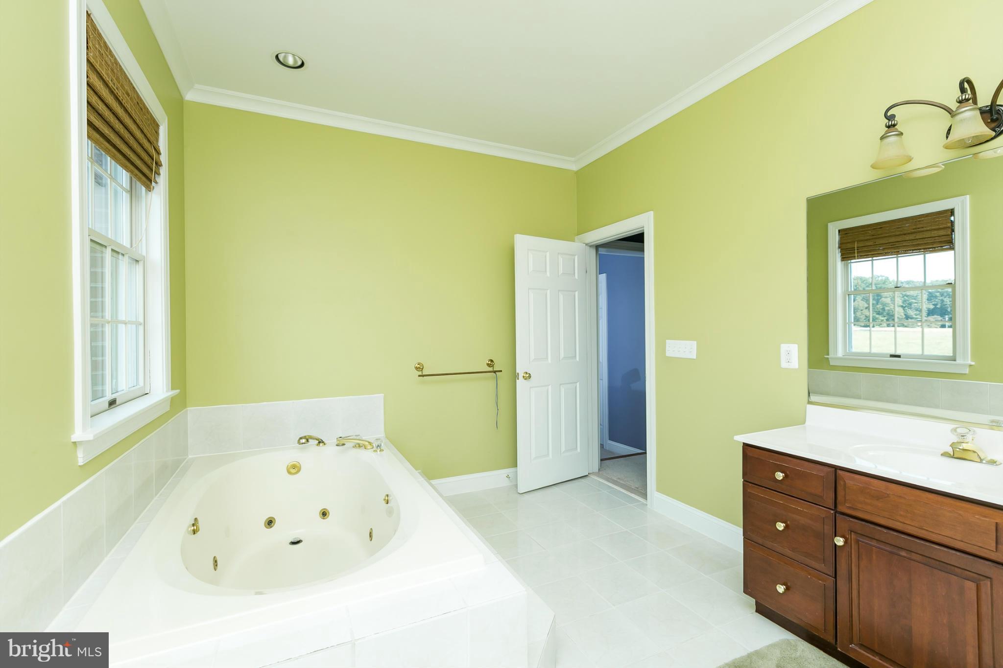 2009 Rutledge Road Fallston, MD 21047 - Photo 14 of 26 Bath (Master)