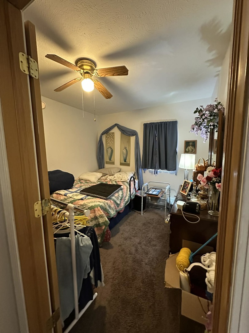 501 3rd Street Villa Grove, IL 61956 - Photo 18 of 23