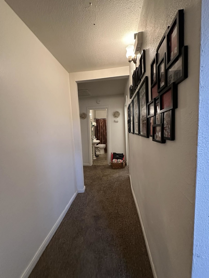 501 3rd Street Villa Grove, IL 61956 - Photo 8 of 23