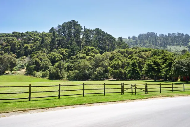 a green field with trees in the background