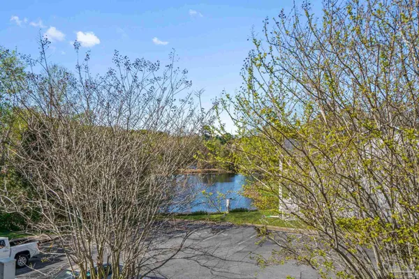 a view of a yard with trees