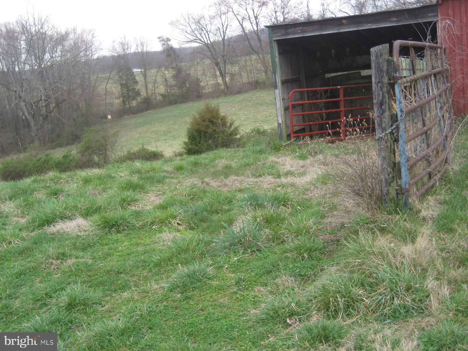 5856 Moore Road Marshall, VA 20115 - Photo 12 of 62 additional shed