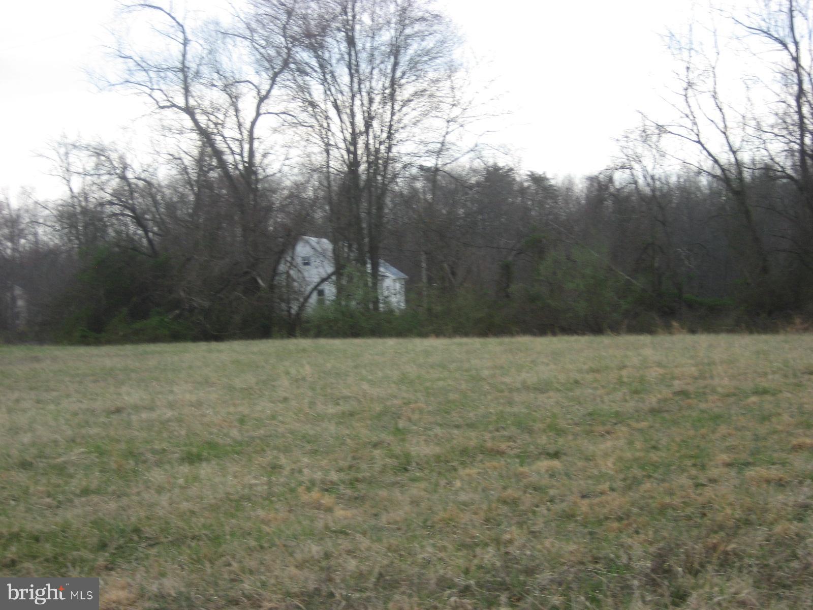 5856 Moore Road Marshall, VA 20115 - Photo 14 of 62 Looking back at house from upper pasture