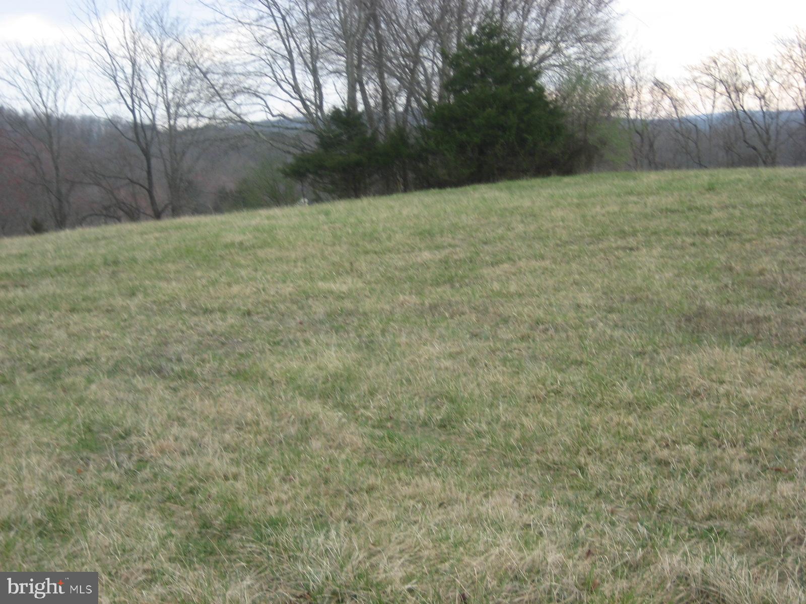 5856 Moore Road Marshall, VA 20115 - Photo 61 of 62 Pasture