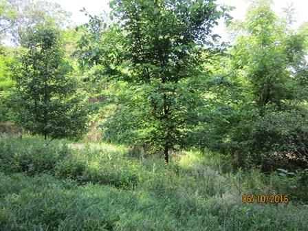 0 Neely School Road Wexford, PA 15090 - Photo 1 of 10 Gallery Image 1