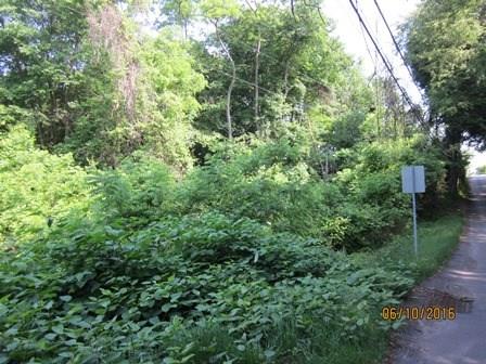 0 Neely School Road Wexford, PA 15090 - Photo 2 of 10 Gallery Image 2