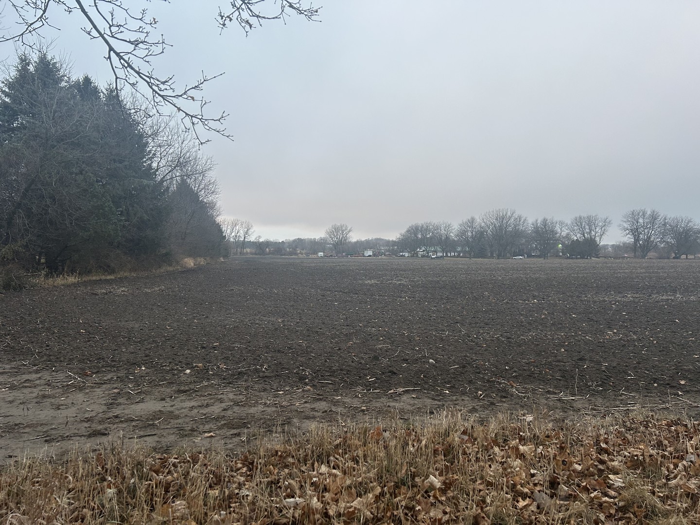 a view of beach and yard