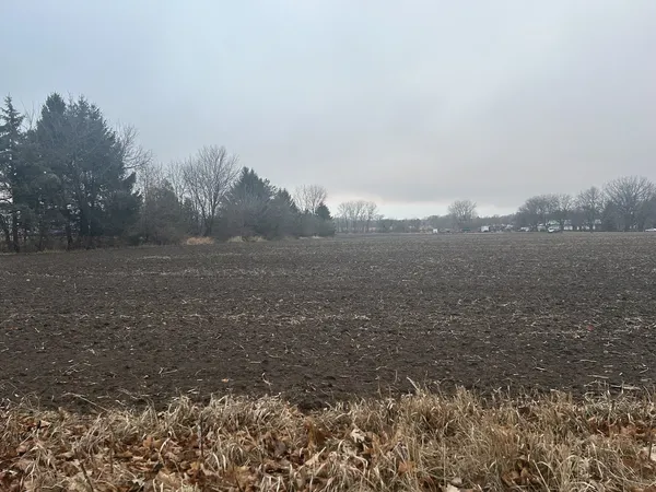 a view of a field with trees in background