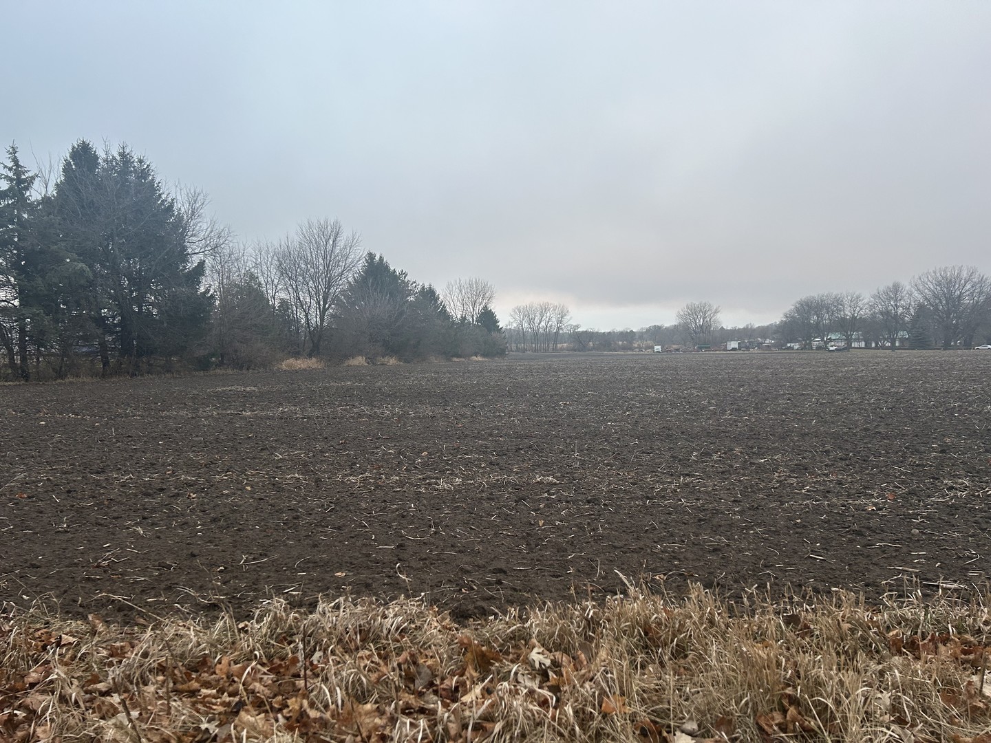 Lot 230001 Galligan Road Gilberts, IL 60136 - Photo 2 of 2 a view of a field with trees in background