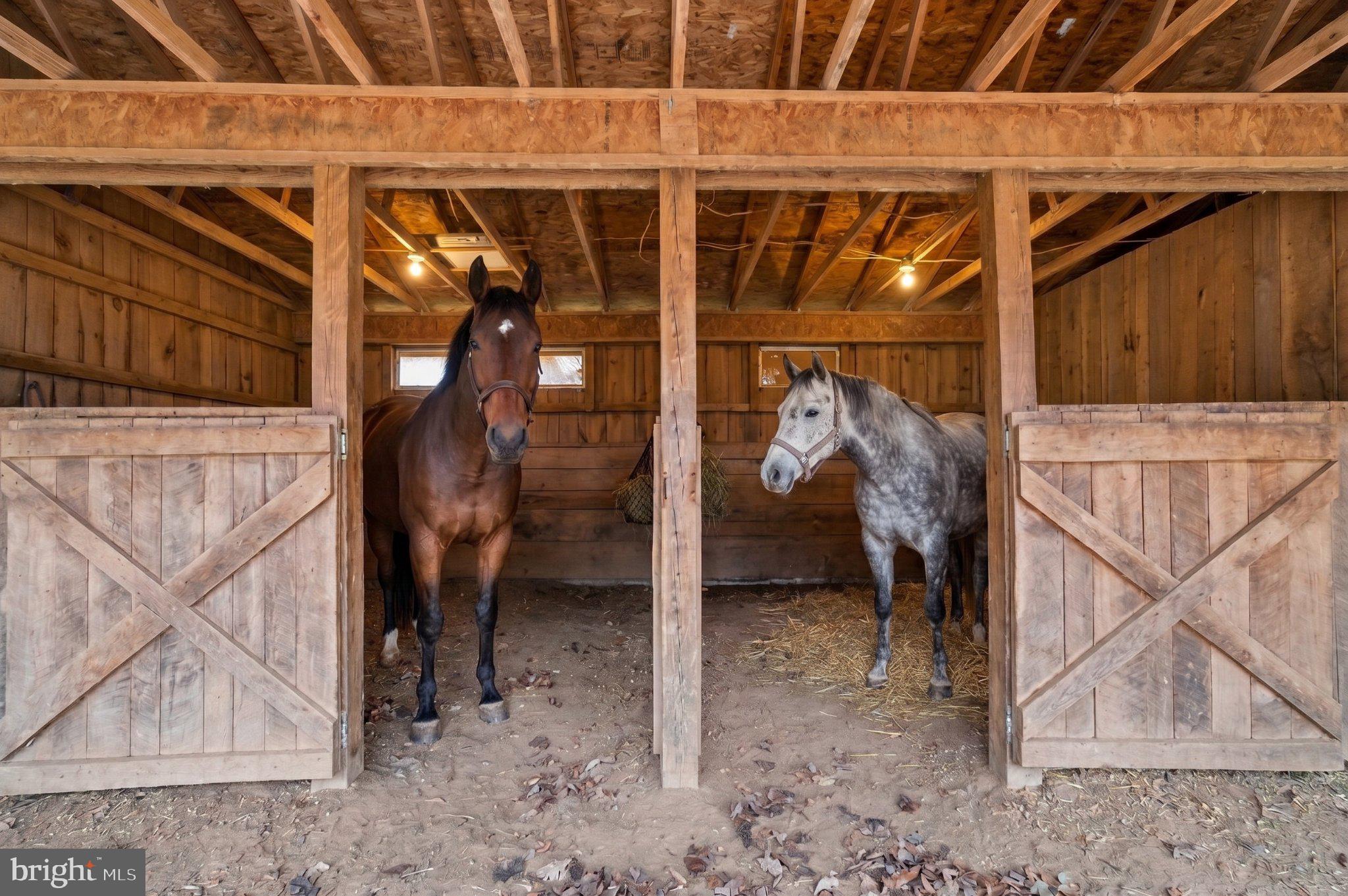 1300 Parrs Ridge Drive Spencerville, MD 20868 - Photo 37 of 70 2 stall barn