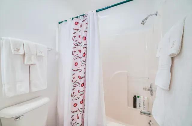 a bathroom with a bathtub and shower curtain