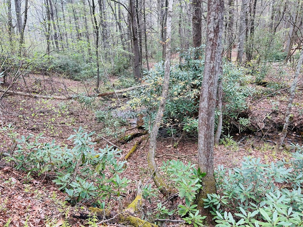 174 Round Hill Road, Unit 4 Fancy Gap, VA 24328 - Photo 5 of 18 Gallery Image 5