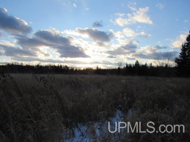 M35 - Tower Road Perkins, MI 49872 - Photo 8 of 15