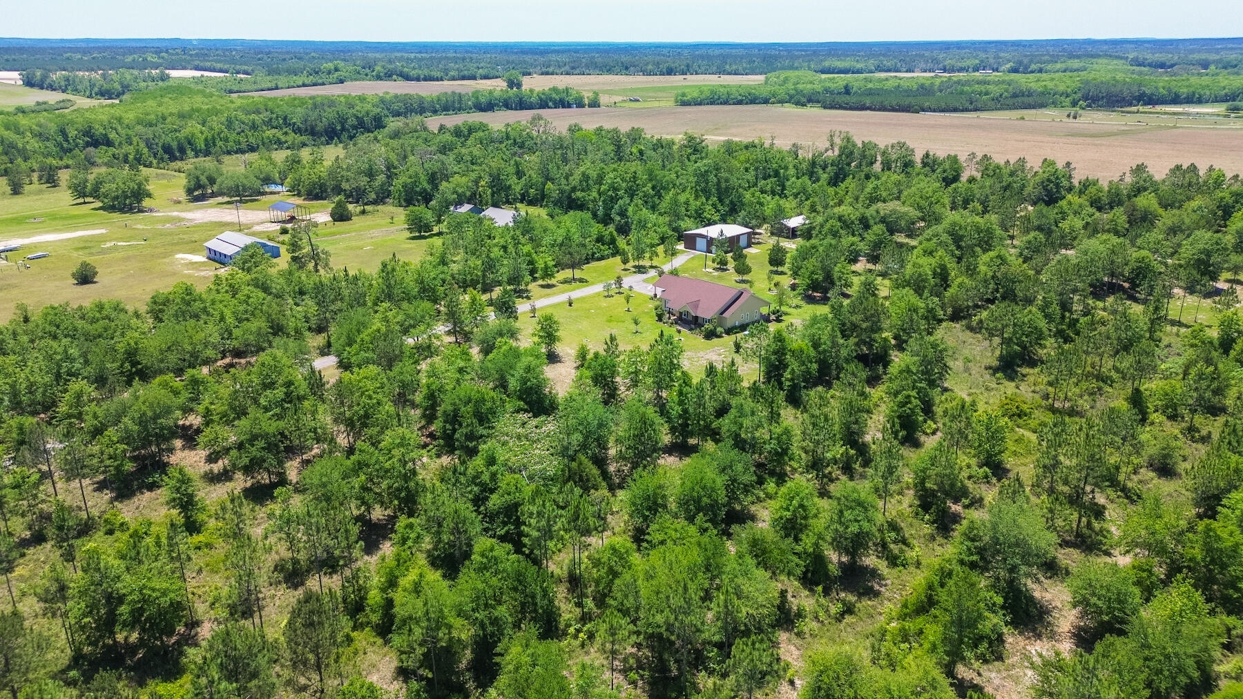 1428 Piney Grove Road Chipley, FL 32428 - Photo 50 of 58 a view of a lake with a yard and large trees