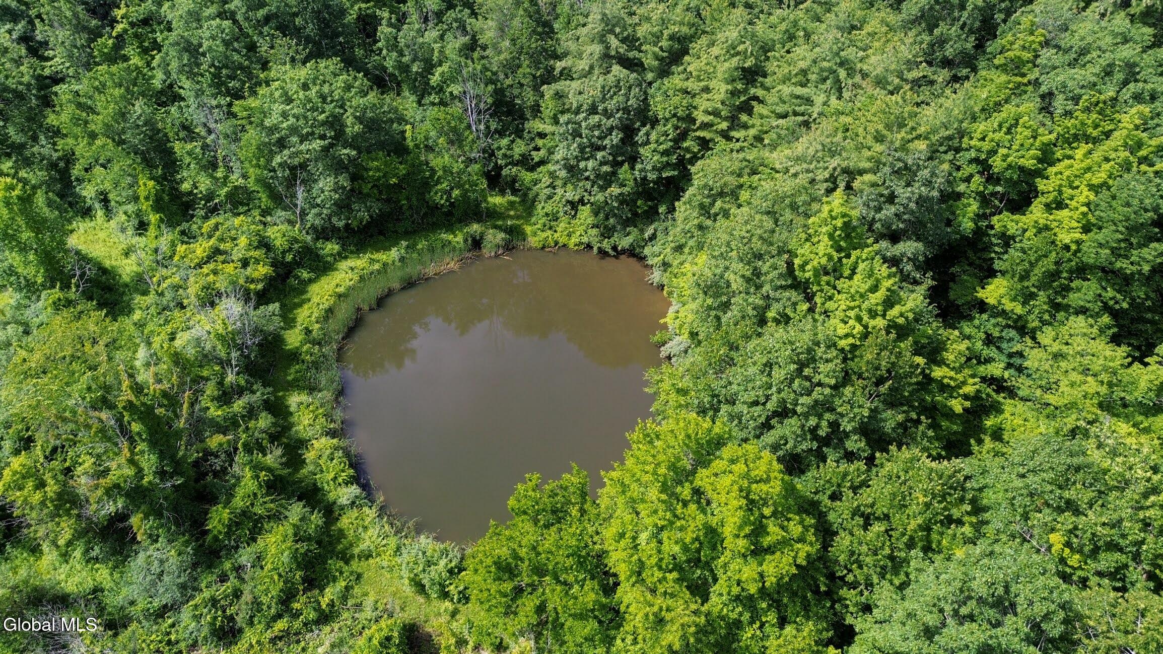1161 Mariaville Road Rotterdam, NY 12306 - Photo 42 of 42 6-116 Mariaville rd drone