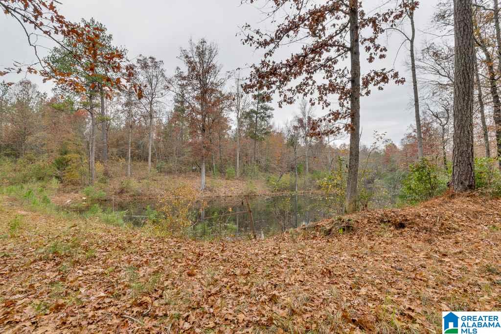2014 Davies Road Prattville, AL 36067 - Photo 43 of 49