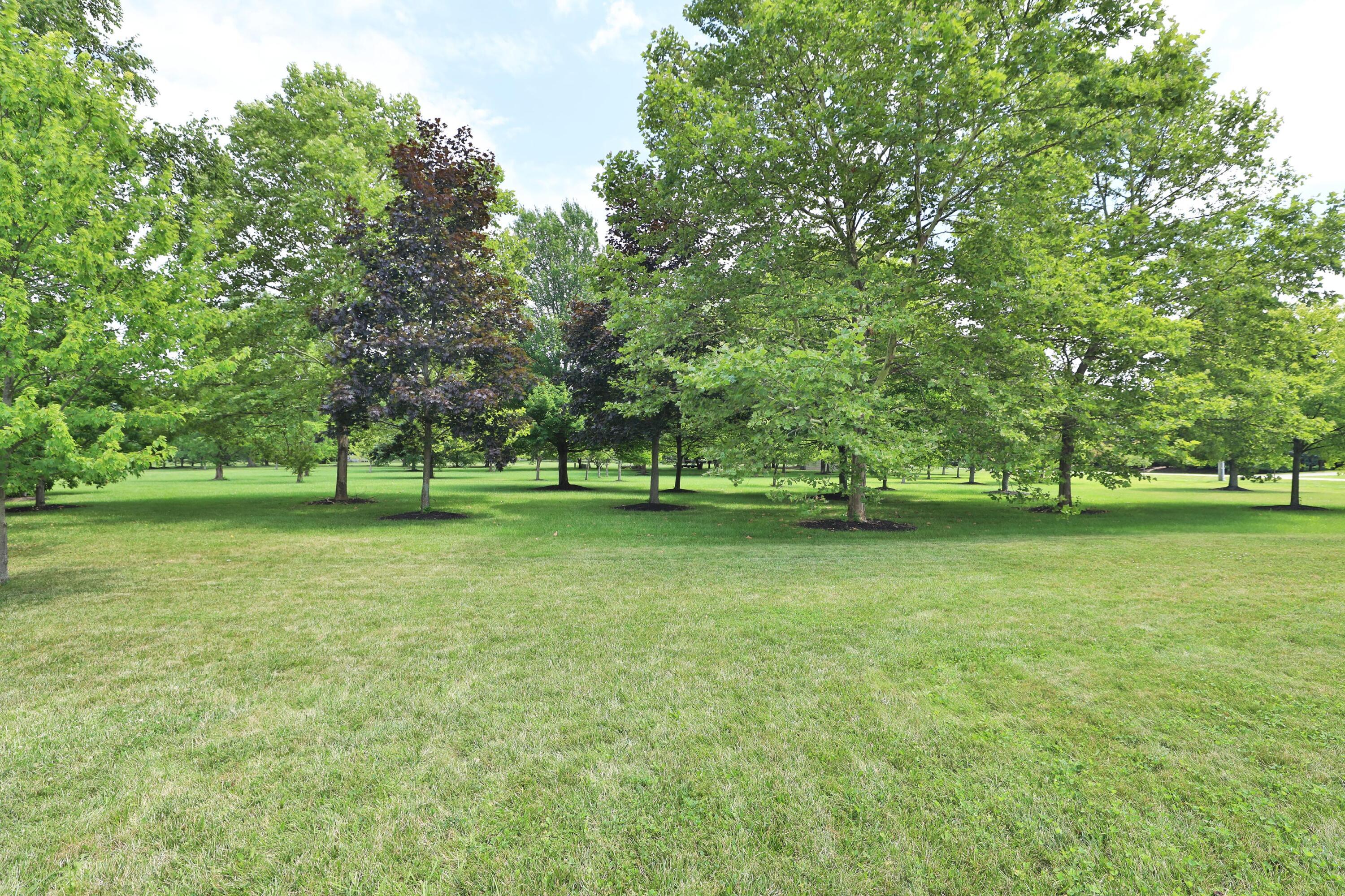 5950 Rings Road Dublin, OH 43016 - Photo 56 of 60 5950-RingsRd-19
