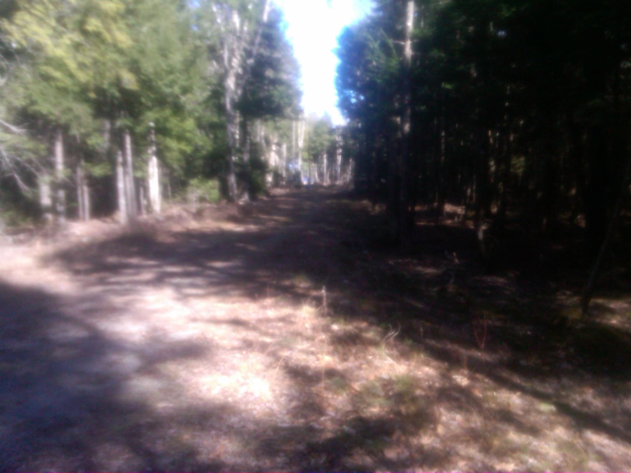 3 Heath Road Mariaville, ME 04605 - Photo 10 of 12 Mariaville-20120406-00538