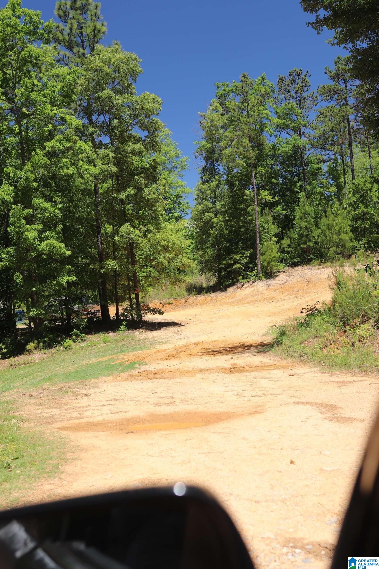 2930 Shocco Springs Road Talladega, AL 35160 - Photo 93 of 93