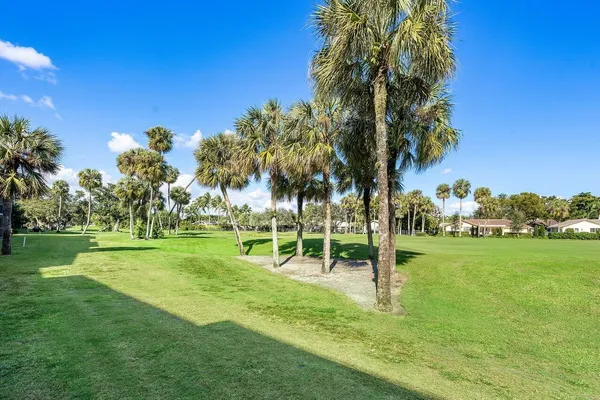 a view of a park