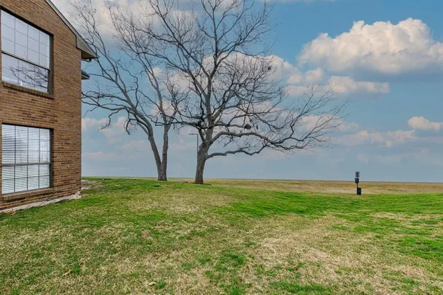 a view of field with large trees