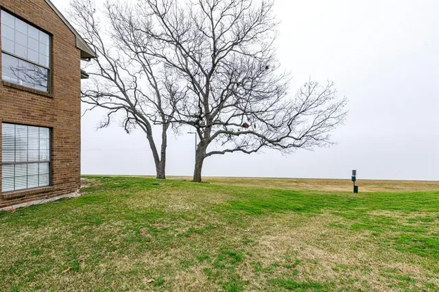 a view of a backyard with large tree