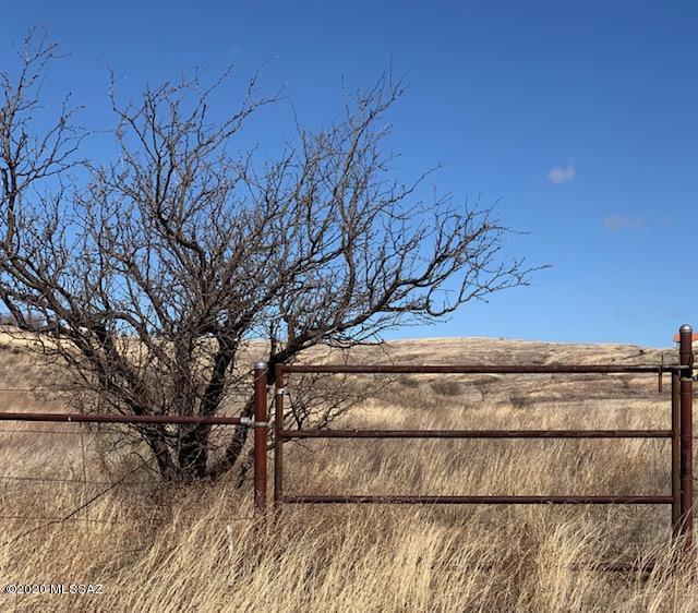 180 Santa Rita Road, Unit 6 Sonoita, AZ 85637 - Photo 16 of 19