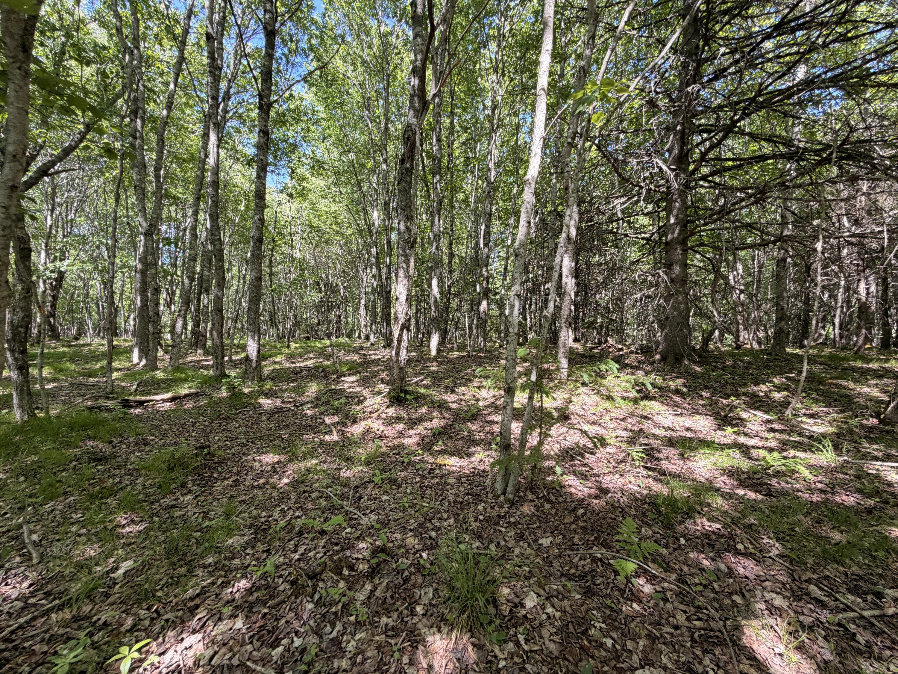 M5-l42 Hooke Road Harrington, ME 04643 - Photo 22 of 33