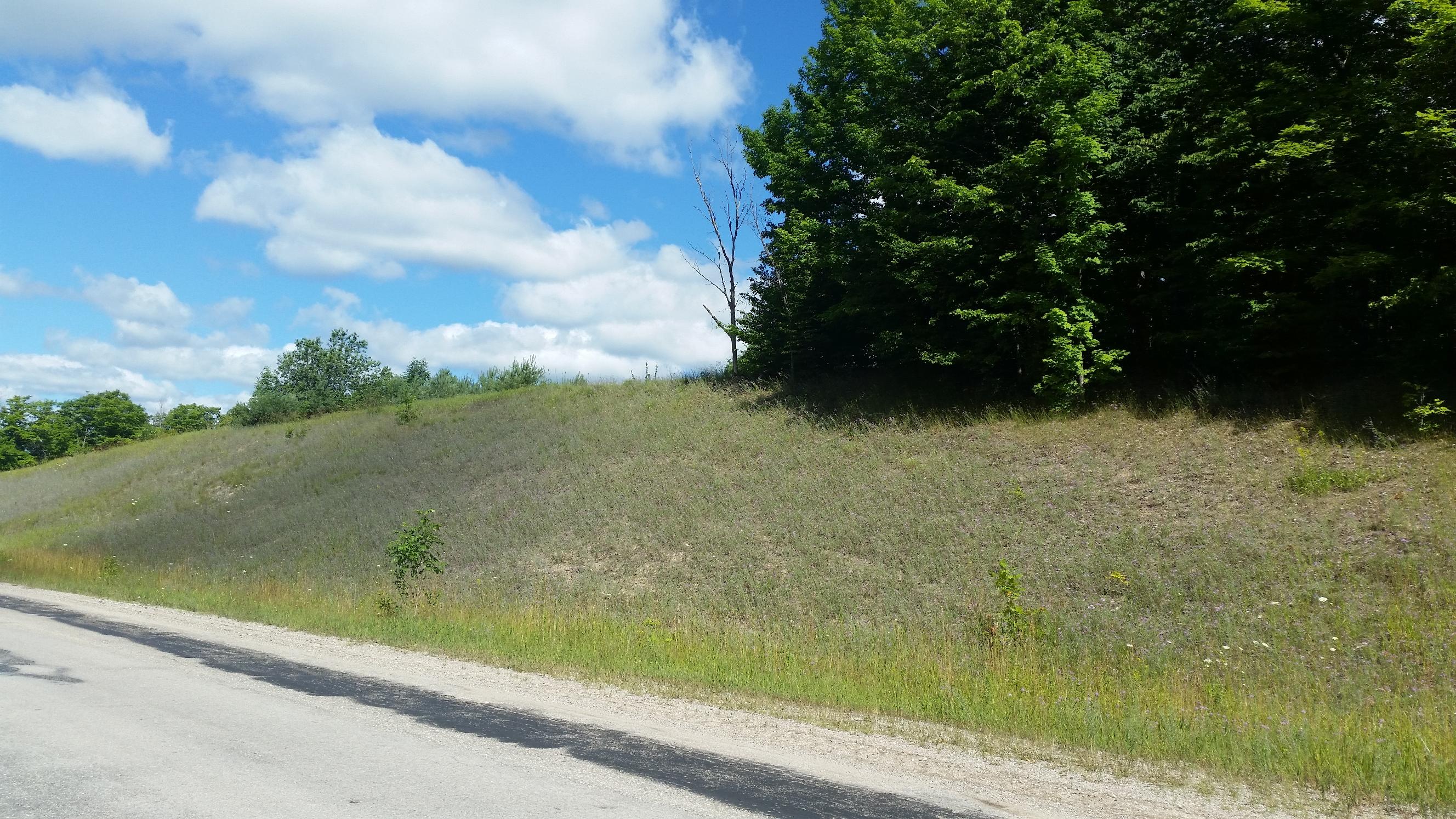 0 Rondo Road Wolverine, MI 49799 - Photo 29 of 41 Gallery Image 29