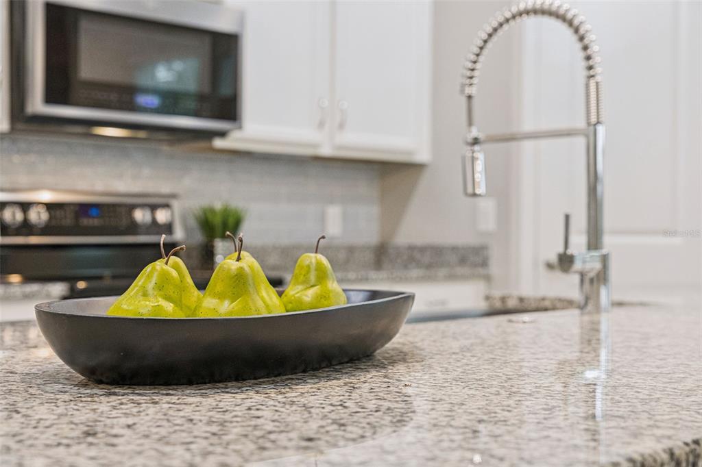 2029 White Feather Loop Oakland, FL 34787 - Photo 41 of 77