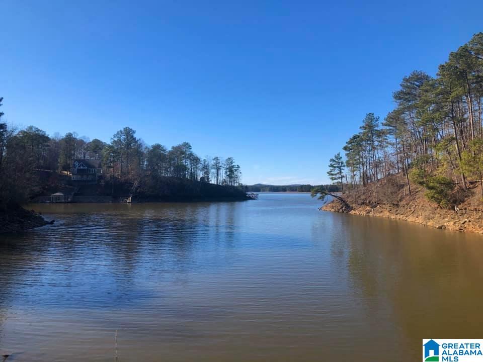 Lot 150 County Road 804, Unit 150 Wedowee, AL 36278 - Photo 1 of 8