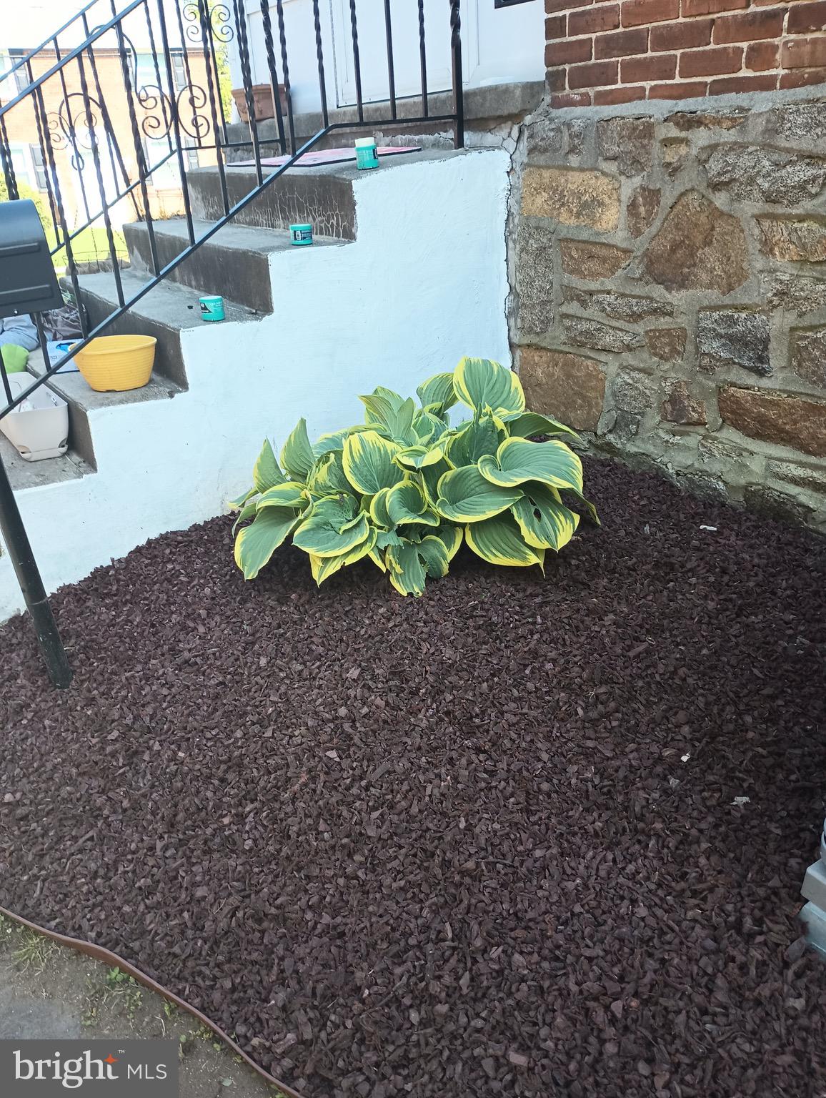 250 East Avon Road Brookhaven, PA 19015 - Photo 5 of 61 a plant with a vase of flowers on it