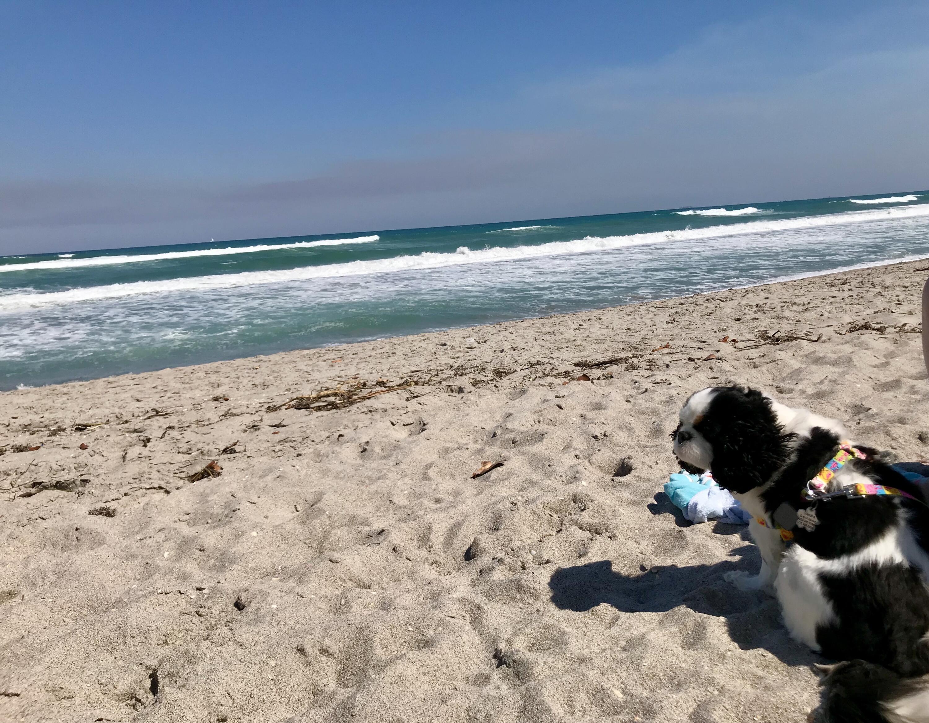 1605 Highway 1, Unit 204 M3 Jupiter, FL 33477 - Photo 19 of 19 IMG_6861