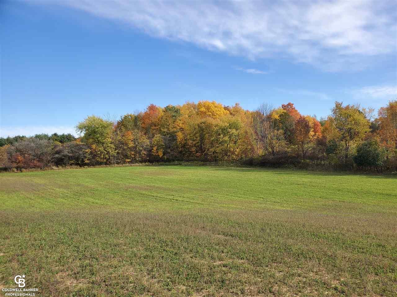 600 West Galbraith Line Road Melvin, MI 48454 - Photo 39 of 54 Gallery Image 39
