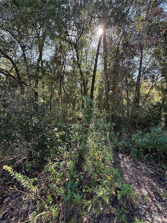 0 Southwest 2nd Place Ocala, FL 34474 - Photo 11 of 16