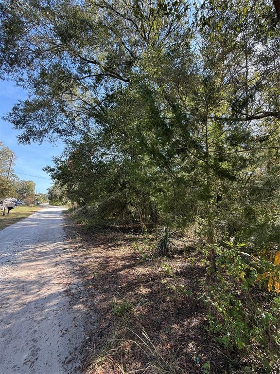 0 Southwest 2nd Place Ocala, FL 34474 - Photo 12 of 16 a view of a yard with a tree